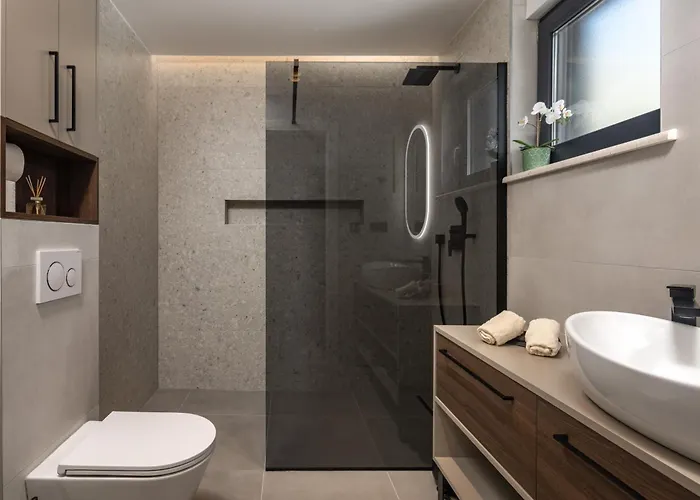 Aura * 科斯特雷纳