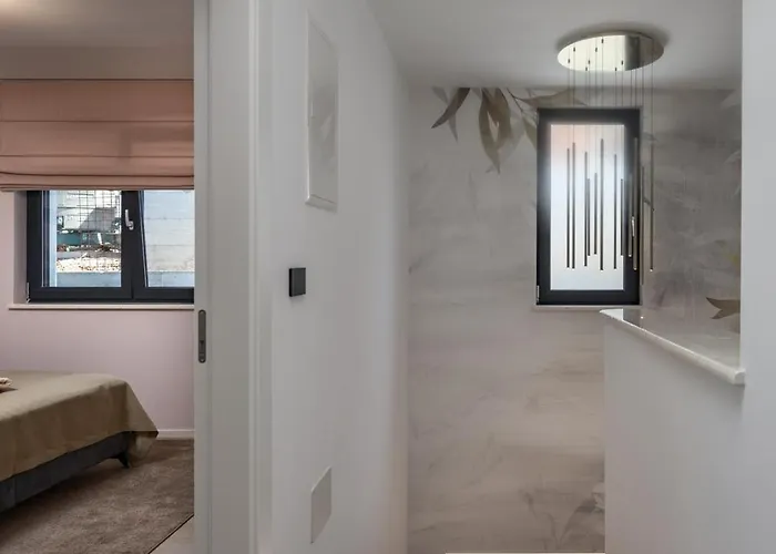 Aura * 科斯特雷纳